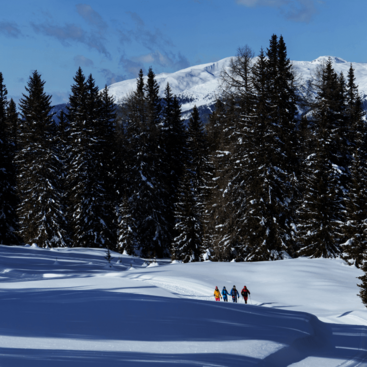 Winterwandern am Dorfberg